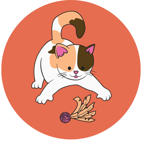 Toys & Entertainment