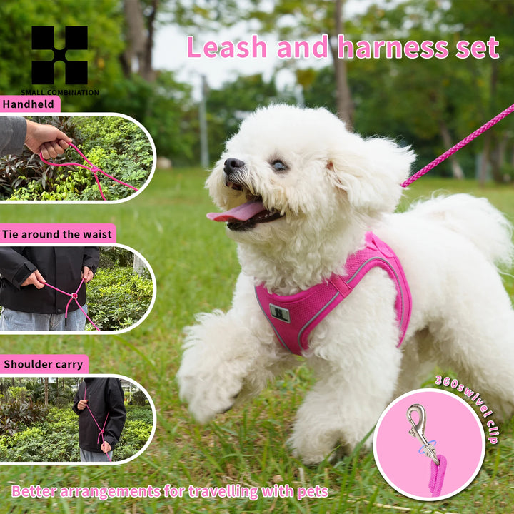 Adjustable Dog Harness & Leash Set – Reflective Vest