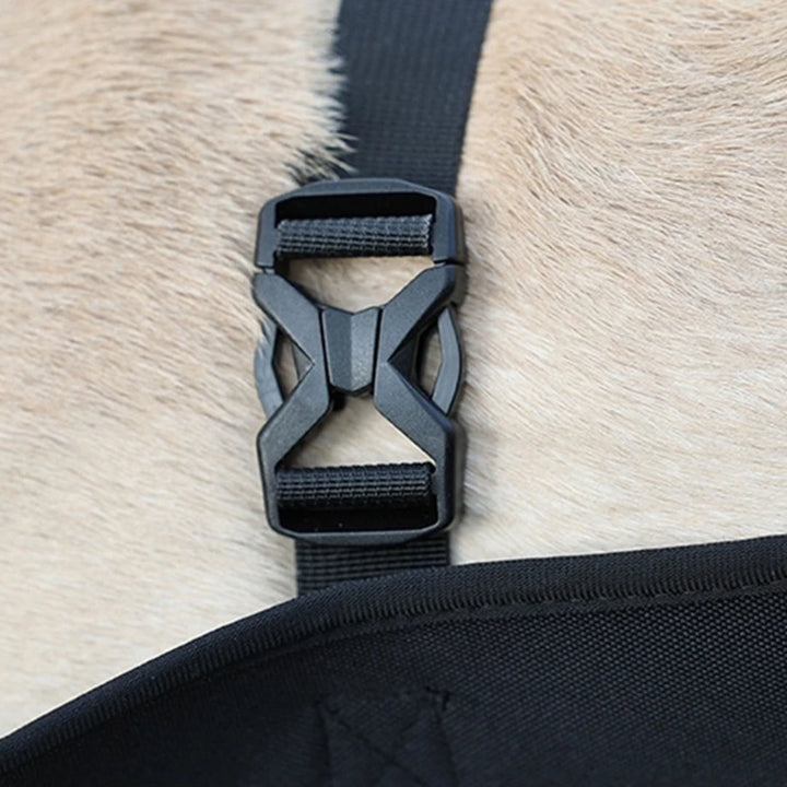 Dog Lift Harness – Support for Injured & Elderly Dogs