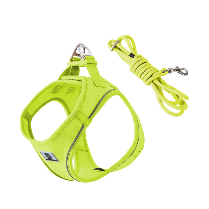 Adjustable Dog Harness & Leash Set – Reflective Vest