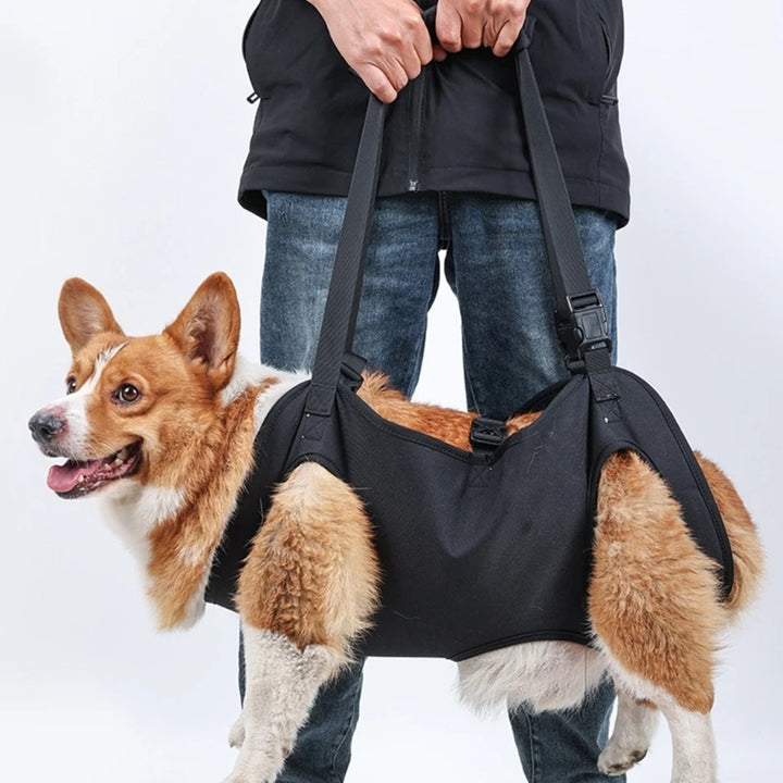 Dog Lift Harness – Support for Injured & Elderly Dogs