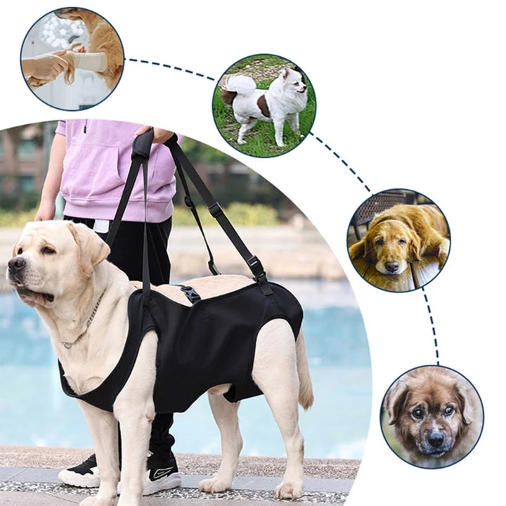 Dog Lift Harness – Support for Injured & Elderly Dogs