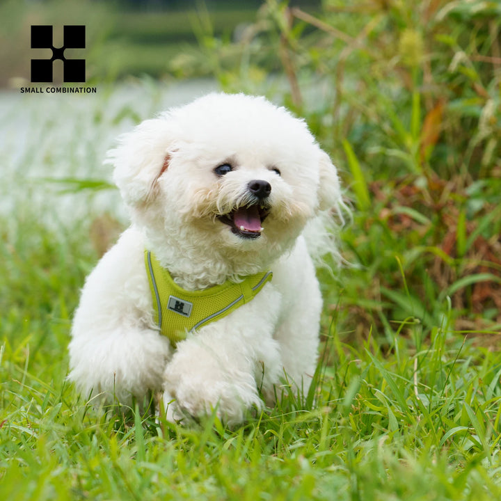 Adjustable Dog Harness & Leash Set – Reflective Vest